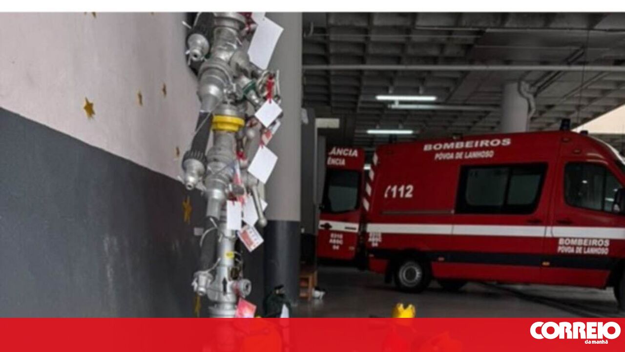 mascote do bombeiro de Póvoade Lanhoso morre – Sociedade